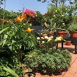 Il Giardino Sui Tetti Lejlighed *